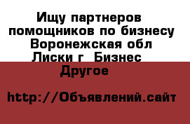 Ищу партнеров, помощников по бизнесу - Воронежская обл., Лиски г. Бизнес » Другое   